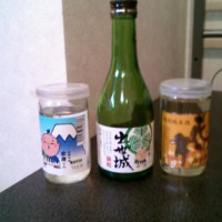 にわか日本酒レビュー14　出世城